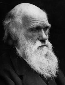 Charles Darwin Drawing